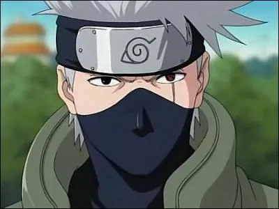 Personnage de Naruto ou DBZ ?