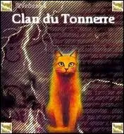 Qui est le mentor de Nuage de Feu ?