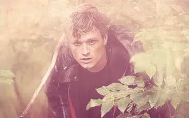Quiz Hunger games