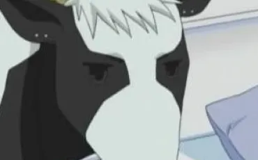 Quiz Fruits basket