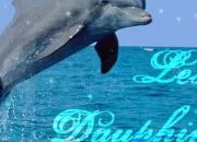 Quiz Les animaux en anglais