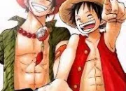 Quiz Quizz : One Piece