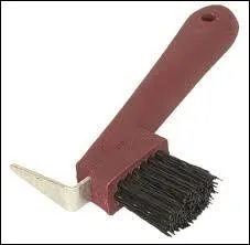 Comment s'appelle cette brosse ?