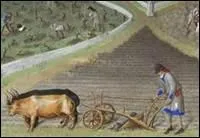 Complétez : « Le vieux (... ) travaillait lentement,