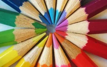 Quiz Insolites