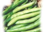 Quiz Les lgumes 2