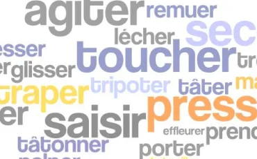 Quiz Vocabulaire