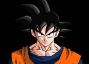 Quiz Dragon Ball en image
