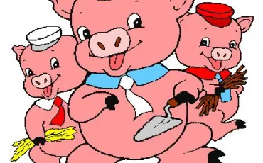 Quiz Cochons