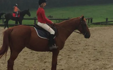 Quiz Galop 1