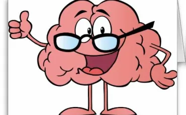 Quiz Cerveau