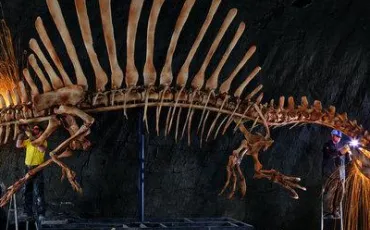 Quiz Dinosaures