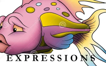 Quiz Expressions
