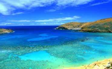 Quiz Ocean
