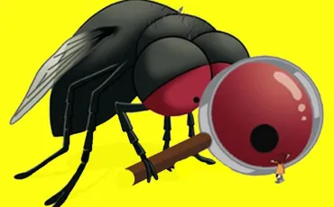 Quiz Insectes