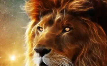 Quiz Lions