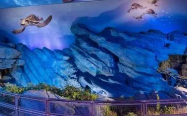 Quiz Montagnes russes
