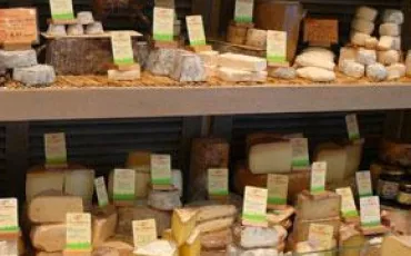 Quiz Fromages