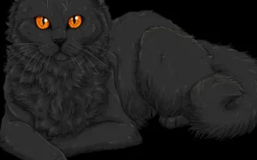 Quiz Erin hunter